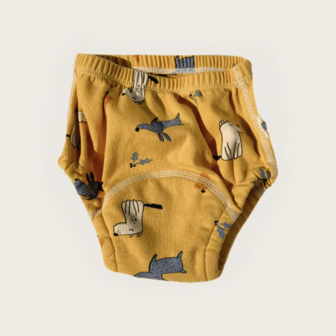 Culotte D’Apprentissage