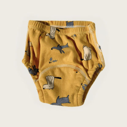 Culotte D’Apprentissage