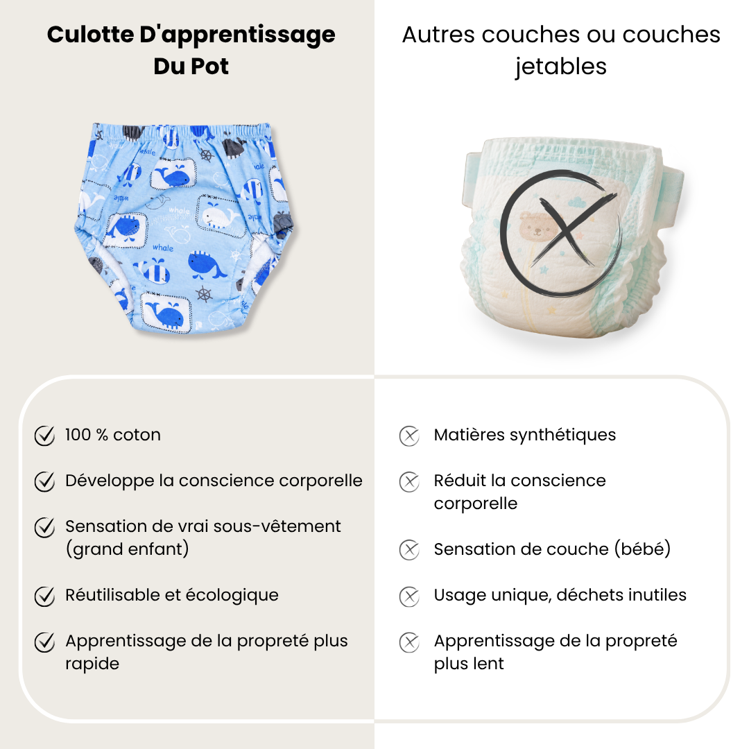 Culotte D’Apprentissage